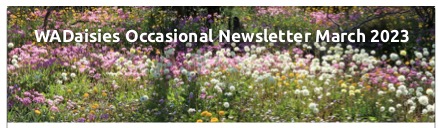 2023 WAD News Header