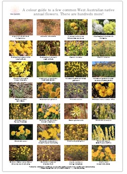 Screen Shot 2023-02-17 at 3.06.03 pm