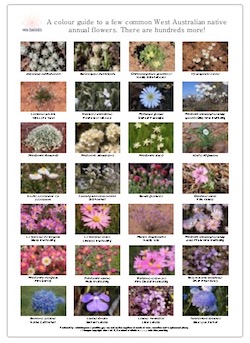 Screen Shot 2023-02-17 at 3.06.19 pm